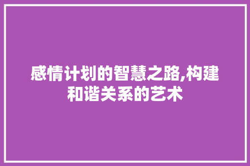 感情计划的智慧之路,构建和谐关系的艺术