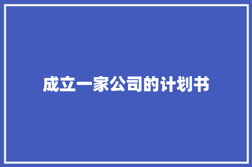 成立一家公司的计划书