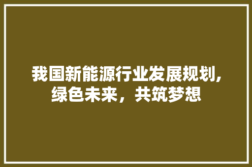 我国新能源行业发展规划,绿色未来，共筑梦想