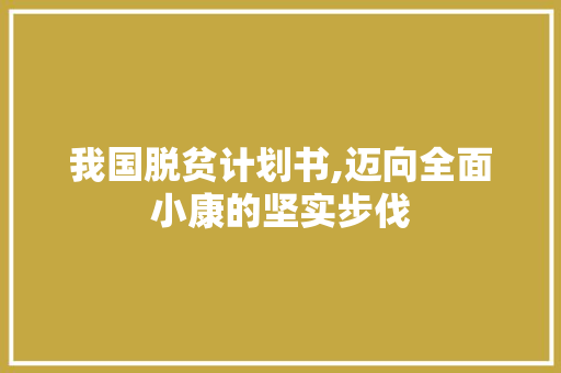 我国脱贫计划书,迈向全面小康的坚实步伐