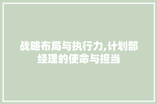 战略布局与执行力,计划部经理的使命与担当
