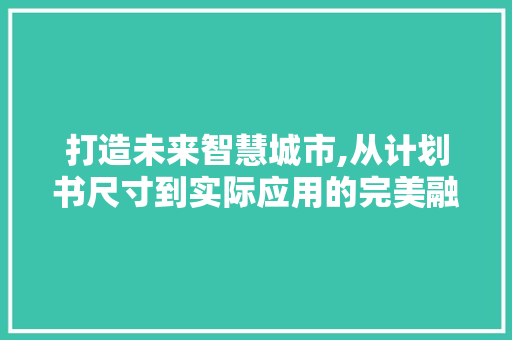 打造未来智慧城市,从计划书尺寸到实际应用的完美融合 简历模板
