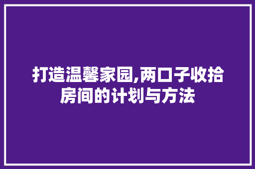 打造温馨家园,两口子收拾房间的计划与方法