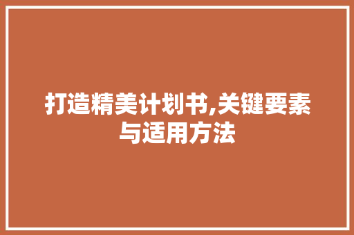 打造精美计划书,关键要素与适用方法