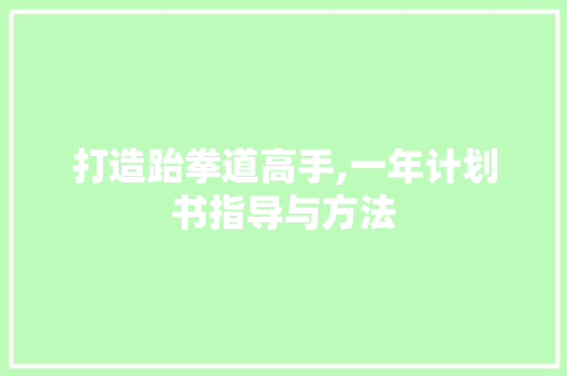 打造跆拳道高手,一年计划书指导与方法 商业文案