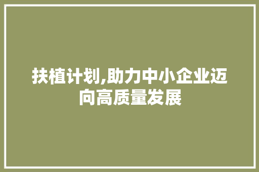 扶植计划,助力中小企业迈向高质量发展