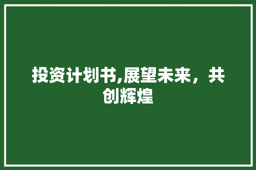 投资计划书,展望未来，共创辉煌