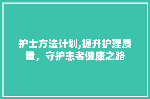 护士方法计划,提升护理质量，守护患者健康之路