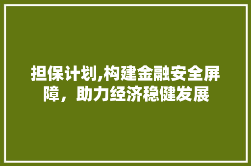 担保计划,构建金融安全屏障，助力经济稳健发展