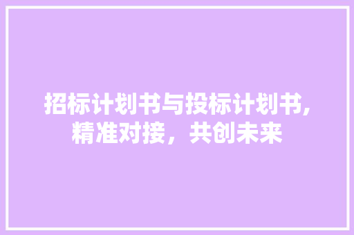 招标计划书与投标计划书,精准对接，共创未来 写作素材