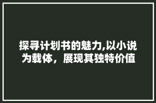 探寻计划书的魅力,以小说为载体，展现其独特价值