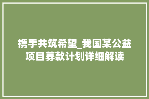 携手共筑希望_我国某公益项目募款计划详细解读