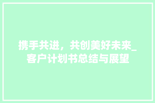 携手共进，共创美好未来_客户计划书总结与展望