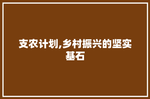 支农计划,乡村振兴的坚实基石