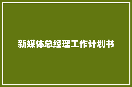 新媒体总经理工作计划书