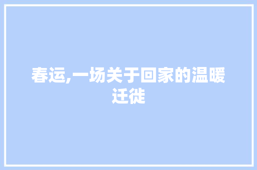 春运,一场关于回家的温暖迁徙