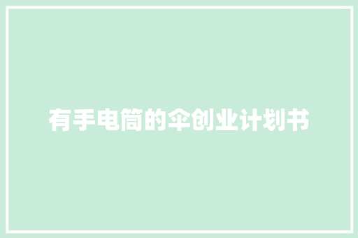 有手电筒的伞创业计划书