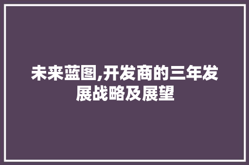 未来蓝图,开发商的三年发展战略及展望