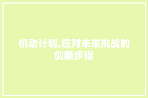 机动计划,应对未来挑战的创新步骤