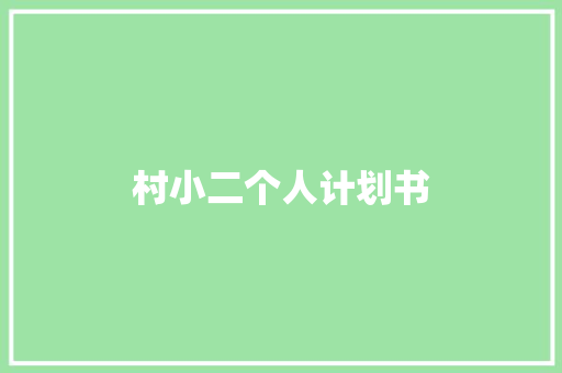 村小二个人计划书