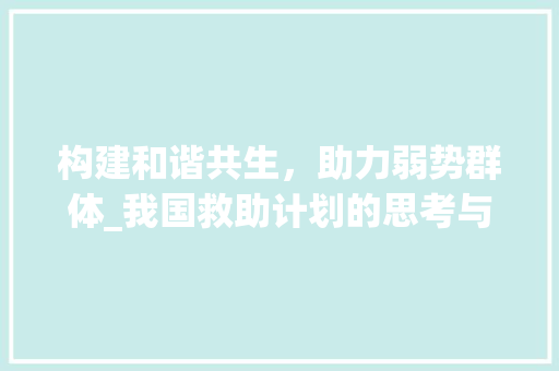 构建和谐共生，助力弱势群体_我国救助计划的思考与方法