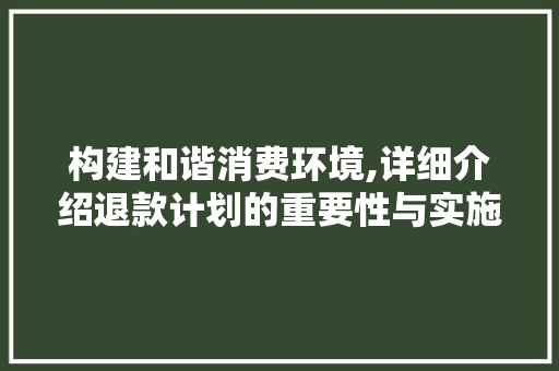构建和谐消费环境,详细介绍退款计划的重要性与实施步骤