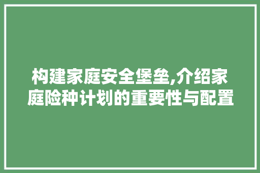 构建家庭安全堡垒,介绍家庭险种计划的重要性与配置步骤