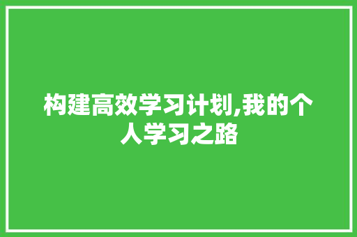 构建高效学习计划,我的个人学习之路
