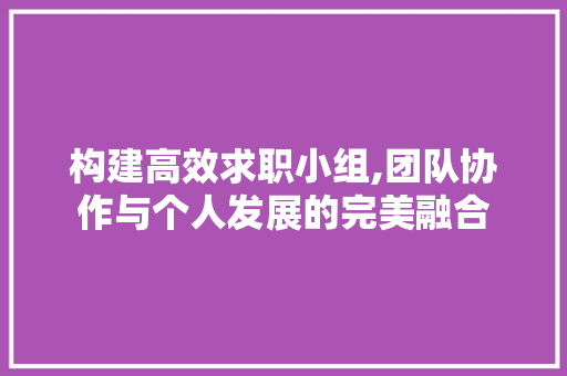 构建高效求职小组,团队协作与个人发展的完美融合