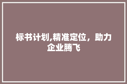 标书计划,精准定位，助力企业腾飞