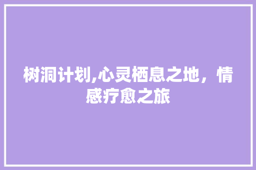 树洞计划,心灵栖息之地，情感疗愈之旅