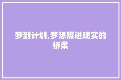 梦到计划,梦想照进现实的桥梁