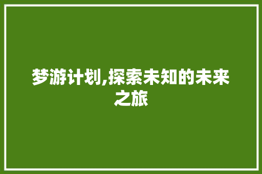 梦游计划,探索未知的未来之旅