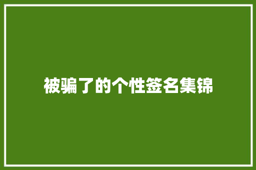 被骗了的个性签名集锦 词汇积累