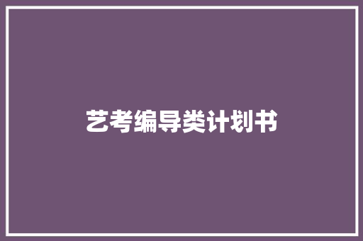 艺考编导类计划书