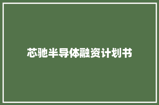 芯驰半导体融资计划书