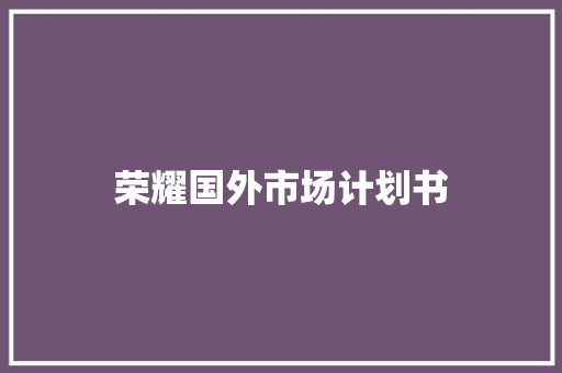 荣耀国外市场计划书 范文赏析
