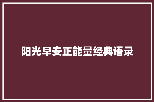 阳光早安正能量经典语录 词汇积累