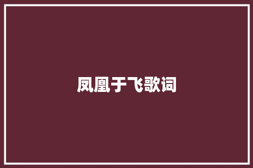 凤凰于飞歌词 写作社区