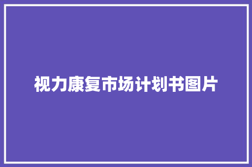 视力康复市场计划书图片