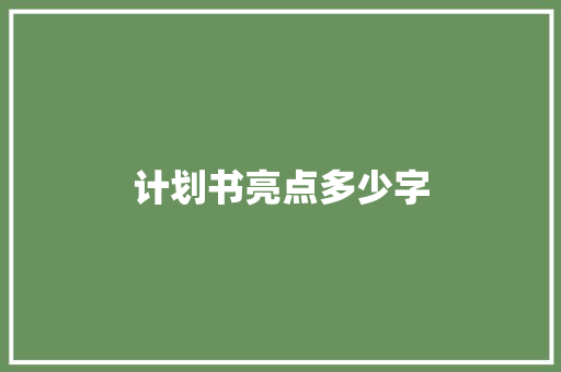 计划书亮点多少字 词汇积累