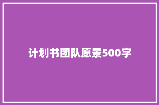 计划书团队愿景500字