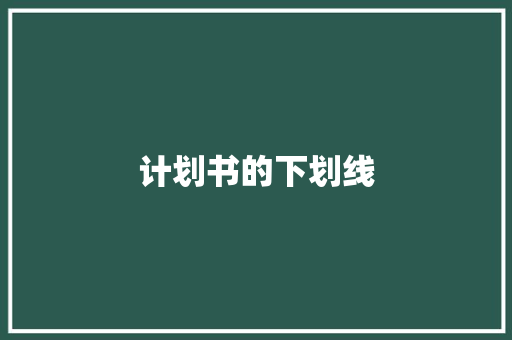 计划书的下划线
