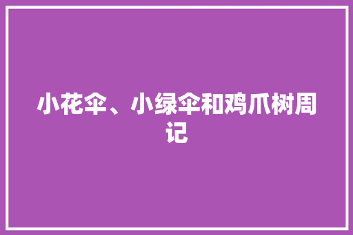 小花伞、小绿伞和鸡爪树周记