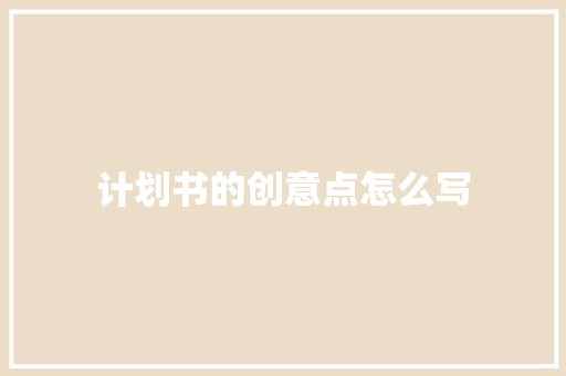 计划书的创意点怎么写