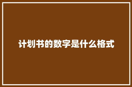 计划书的数字是什么格式