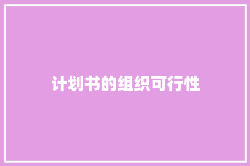 计划书的组织可行性 简历模板