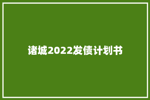 诸城2022发债计划书
