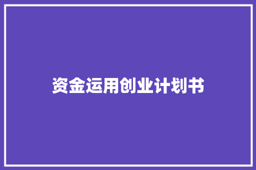 资金运用创业计划书