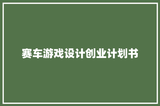 赛车游戏设计创业计划书